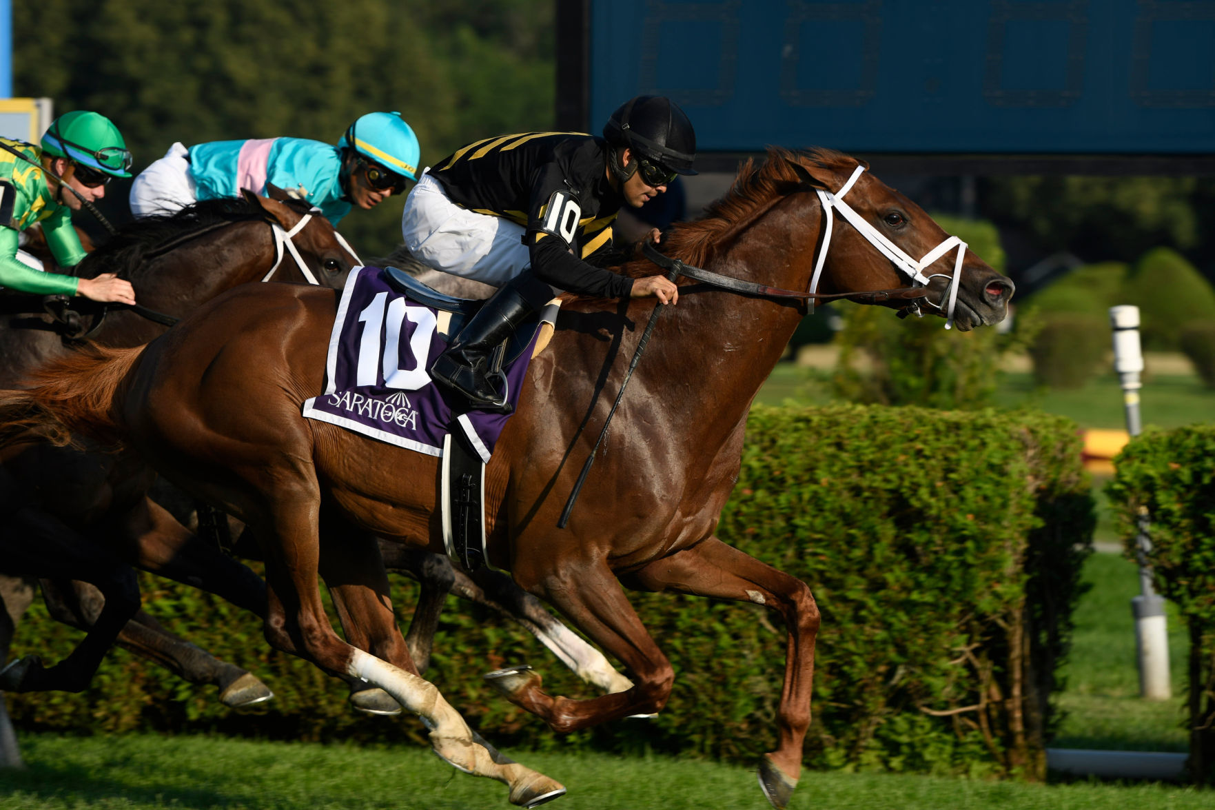 Jim Dandy